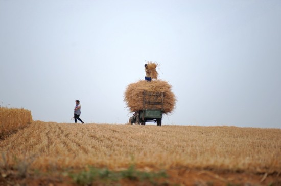 上海着手打造综合性“国家科学中心”-星空官网(图1) 星空官网