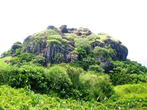 星空官网|甘肃进出口货物告别“出入区域”限制(图1) 星空官网