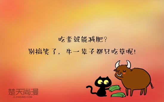 星空官网
